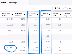 Successful Facebook Ad Campaign 7.80 ROAS