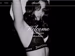 Auroboros — Web Design