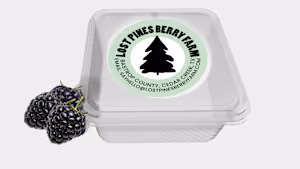 This visual mockup was designed