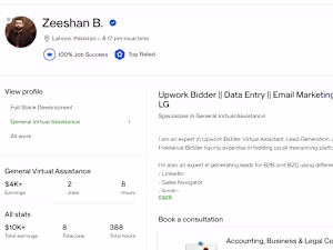 Efficient Upwork Bidding Manager