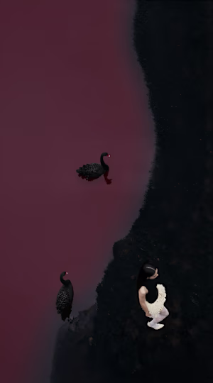 Black Swan AI Photoshoot
