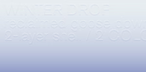 SOUTH HERO, winter campaign marketing design