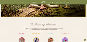 WebSite for holistic wellness center