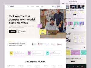 Mentors Course Project