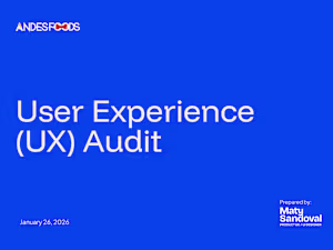 Andes Foods Home Page UX Audit