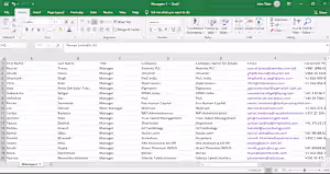 Data Entry on Excel Sheet