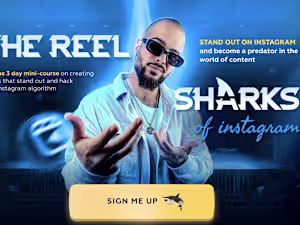 Digital Product (Landing Page)