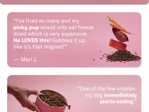 Email Marketing Campaign - Increased Sales Revenue