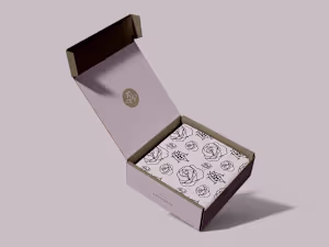 Amasius Lingerie Brand Identity