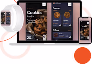 I designed and developed a