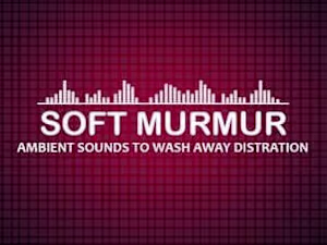A Soft Murmur