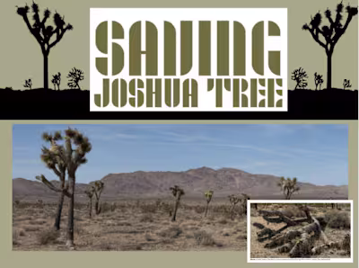 Saving Joshua Tree: Pursuit Magazine article