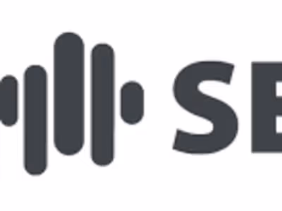 SERPs.com (2010 to 2017 seven-figure acquisition)