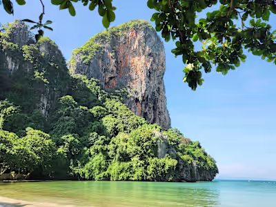 Multi-Entity Finance Rebuild & Compliance Recovery