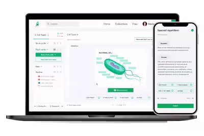 Your All-in-One Study Buddy