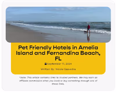 Pet-Friendly Hotels Article for Jet Set Pets