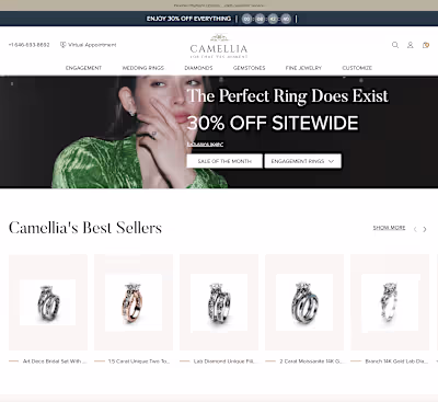 Designed and managed camelliarts's website