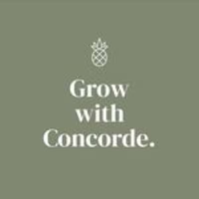 Concorde Careers | Social Media Manager