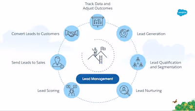  Optimize Salesforce CRM