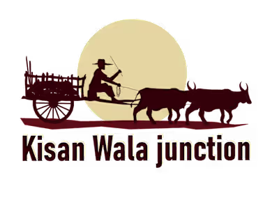 kisan wala junction