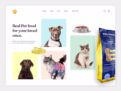 UX/UI redesign of E-commerce Website