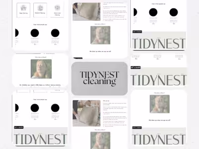 Tidy nest cleaning services website