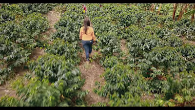IBM Foodtrust Farmer Connect Featurette on Vimeo