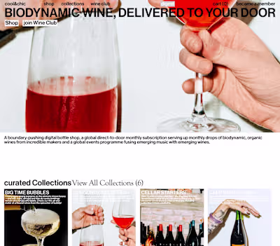 COOL&CHIC, website planning design