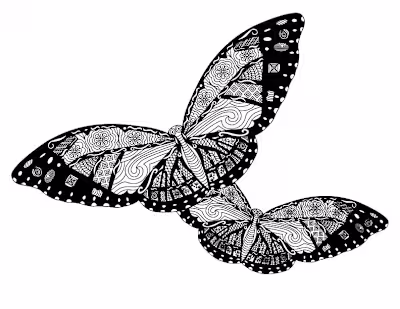 Double Butterfly Coloring Book Page