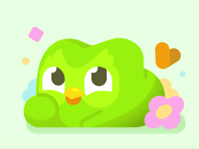 Duolingo Widget Promo Newsletter