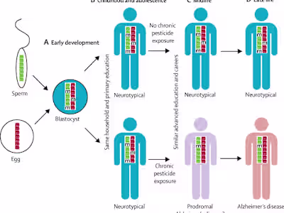 Epigenetics of dementia: understanding the disease as a transfo…