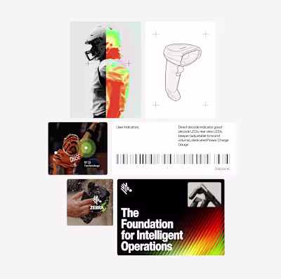 Design/Motion for Zebra