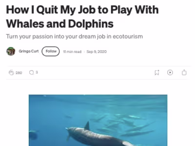 Blog Writing / Ghostwriting