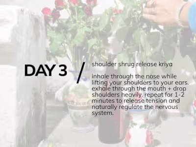 Nervous System Curriculum Sample