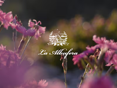 La Albufera | Portfolio