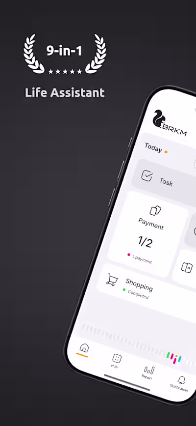 Birikim V3