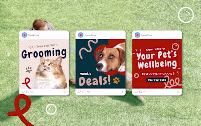 Ads for Local Pet Care Services