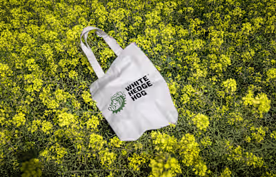 White Hedgehog - Brand Identity