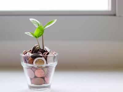 Business & Personal Finance Article Writing