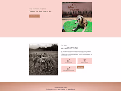 NGO Website