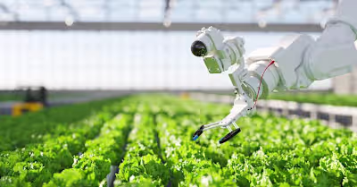Farms and Foods: AI’s Revolutionary Impact on Agro and Food.