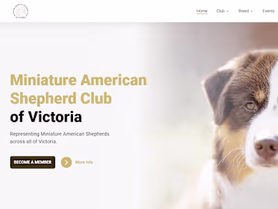 Astro Website with Decap CMS