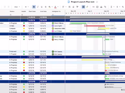 Project Management