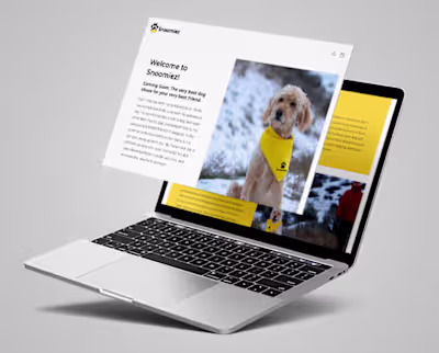 Shopify e-commerce site for pet brand