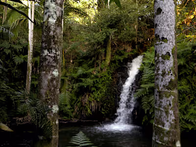 Hawai'i Wellness Retreats