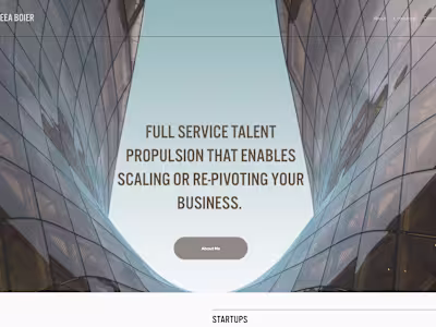 Website for Consultant 