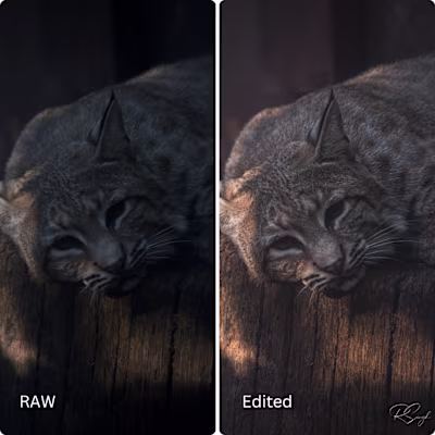 Photo Editing/Retouching Portfolio