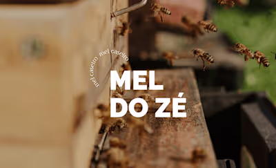 Mel do Zé | Branding