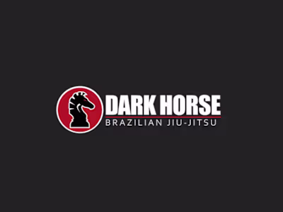 SEO & Content Management for Jiu-jitsu Gym