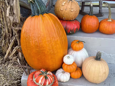 Perfect Porch Tennessee